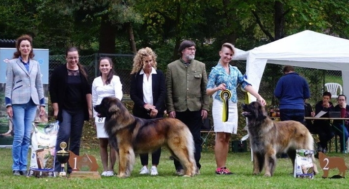 Leonberg092019