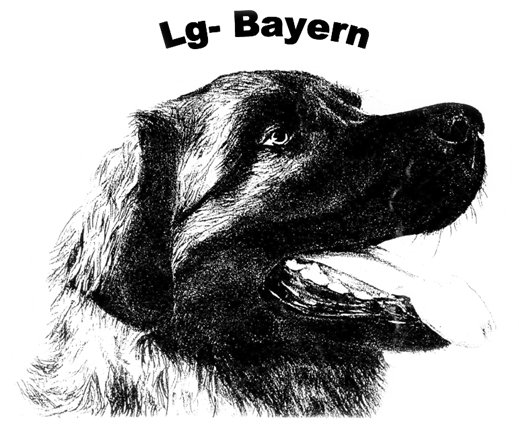 lg bayern logo
